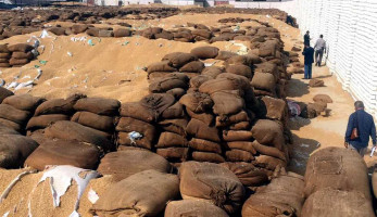 مصادر: مصر ترفض 7 شحنات قمح والتجار يرفعون السعر | المصري اليوم