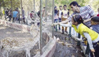 اليوم فتح حديقة الحيوان للجمهور مجاناً