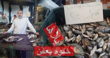 التموين تحاصر تجار الأسماك الجشعين وعشرات المخالفات لعدم إعلان الأسعار - اليوم السابع