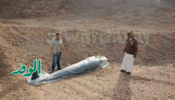 بالصور.. ظهور أكبر الدلافين من نوع شبيه الحوت القاتل "أوركا" بساحل خليج العقبة