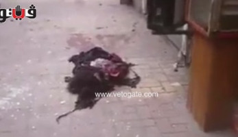 بالفيديو.. لحظة استشهاد العميد نجوى الحجار في تفجير مرقسية الإسكندرية