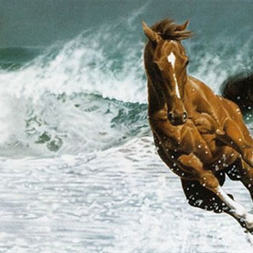 شاهد.. بنات 'آل مكتوم' يسبحن بالخيول فى الماء