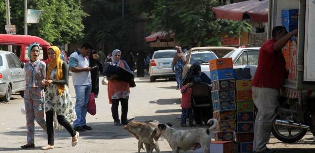 أطفال «أبوالريش» فريسة للكلاب الضالة.. و«الأهالى»: «محدش معبّرنا»