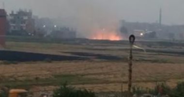 فيديو..وزير البيئة: الفلاحون استغلوا مباراة مصر والكونغو لحرق قش الأرز (خبر)