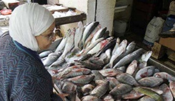 مصادر: طرح أسماك بالمجمعات الاستهلاكية بتخفيضات 50% عن أسعار السوق (خبر)