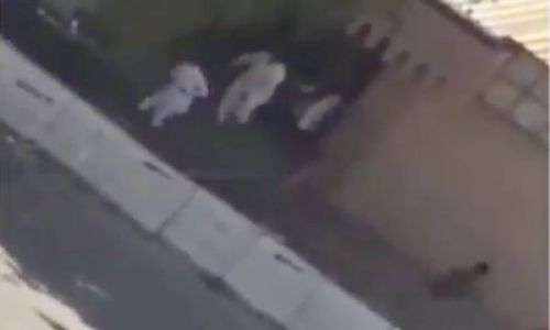 شاهد.. فيديو جديد لهروب الناجين من حادث الروضة الإرهابي (خبر)