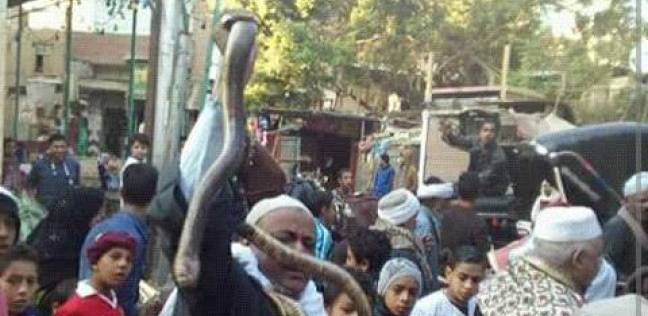 بالصور| ثعابين وحلوى في احتفالات بني سويف بالمولد النبوي الشريف (فيتشر)
