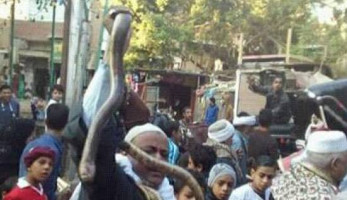 بالصور| ثعابين وحلوى في احتفالات بني سويف بالمولد النبوي الشريف (فيتشر)