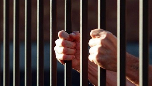 حبس سائق سنة بتهمة تهريب أسماك من بحيرة ناصر (خبر)