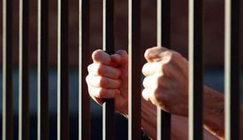 حبس سائق سنة بتهمة تهريب أسماك من بحيرة ناصر (خبر)