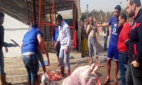 الأهلي يذبح عجلين في التتش لاستعادة الانتصارات (خبر)