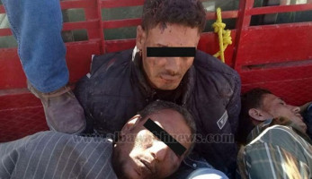 أهالي الفرافرة يقبضون على لصوص الماشية بالوادي الجديد (خبر)