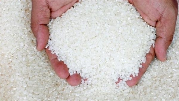 ماذا قالت عن زيادة أسعار الأرز؟.. 6 شائعات جديدة تنفيها الحكومة (ريبورتاج)
