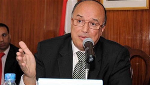 «منسق حملة السيسي».. معلومات لا تعرفها عن السفير محمود كارم (بروفايل)