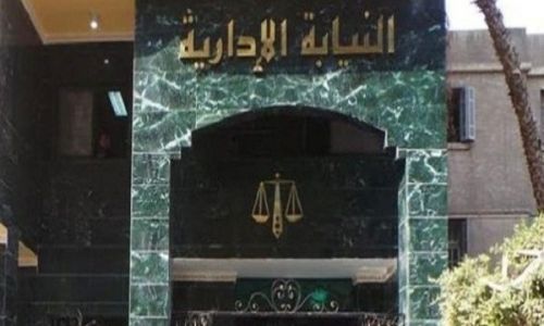 بالفيديو.. النيابة الإدارية: السيدات أقل فسادًا من الرجال (خبر)