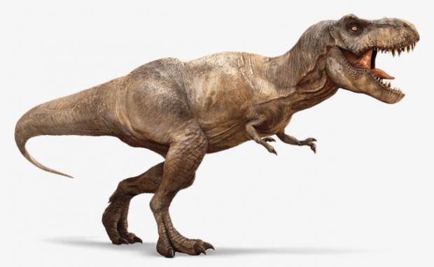 اكتشاف حفرية ديناصور بحجم «حافلة» في الصحراء الغربية (خبر)
