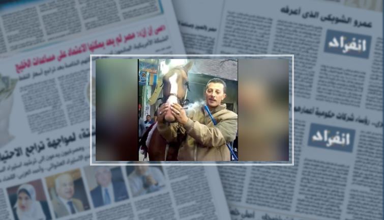 جرائم تمارس ضد الحيوانات فى مصر.. تختلف الأسباب والناتج واحد (فيتشر)