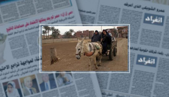 صورة اليوم.. فالناس موتى وأهل العلم أحياء (خبر)