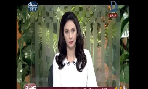 بالفيديو.. خبيرة اقتصاد توضح المؤشرات الإيجابية لخفض الأسعار البنكية (خبر)