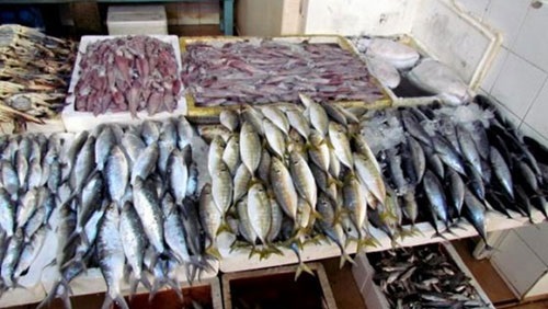 «الزراعة»: غلق بحيرة ناصر سيزيد من حجم ووزن الأسماك (خبر)