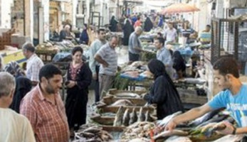 تفاصيل أزمة سوق السمك بالجيزة.. «المالية» ترفع الإيجار بنسبة 75%.. التجار يمتنعون عن الدفع منذ ثورة يناير.. ورئيس حي جنوب: الباعة رفضوا كل الحلول وطردهم يسبب كارثة (ريبورتاج)