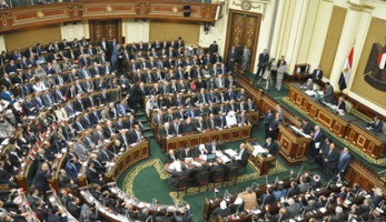 عضو بـ«رياضة البرلمان»: فئة ضالة وراء أحداث مباراة الأهلي ومونانا (خبر)