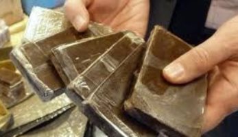 ضبط 37 شخصا بحوزتهم مواد مخدرة وتنفيذ أحكام جنائية خلال حملة بالجيزة - اليوم السابع