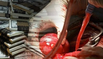 "تجارة الأعضاء البشرية" تنهش أجساد المصريين.. ضبط سمسار يشتري أطفالا سفاحًا.. شبكة دولة عبر "فيس بوك".. وسفاحون يستدرجون ضحاياهم ويقنعونهم ببيع أعضائهم