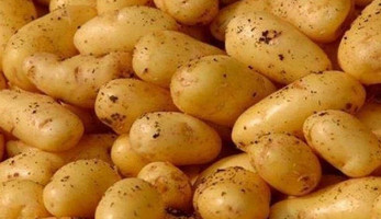 «التجارة والصناعة» توضح حقيقة فرض روسيا حظرًا على استيراد البطاطس المصرية | المصري اليوم