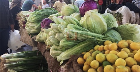في شم النسيم.. البصل الأخضر والخس والليمون ملوك أسواق القاهرة (فيتشر)