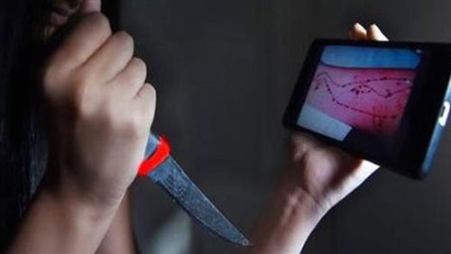 طلب إحاطة في البرلمان لحظر «الحوت الأزرق» (خبر)