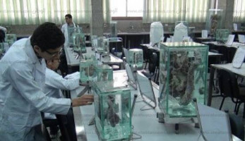المتحف البشرى فى المنصورة: وداعاً للفورمالين والإهمال وإغماءات طلاب الطب (فيتشر)