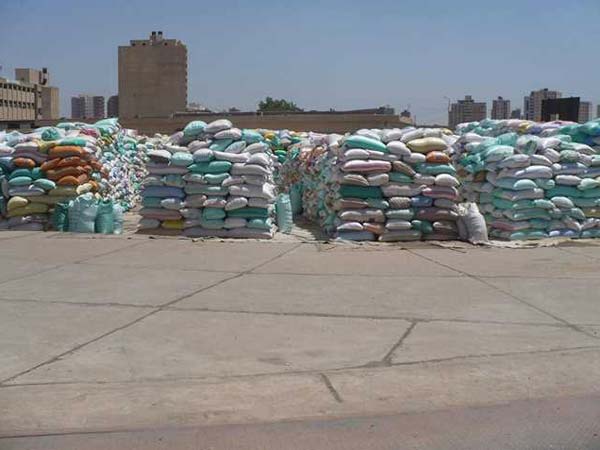 فيديو.. نقابة الفلاحين: خسائر كبيرة بسبب الأمطار (خبر)