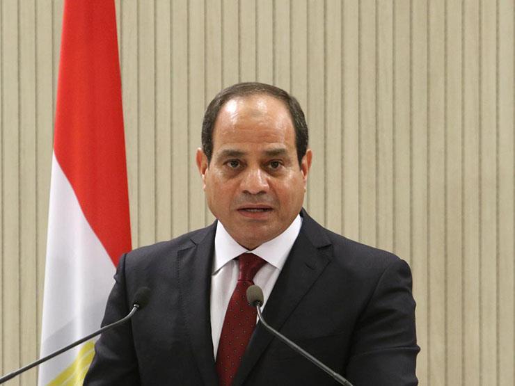 السيسي يوجه رسالة حادة للمصريين  (خبر)