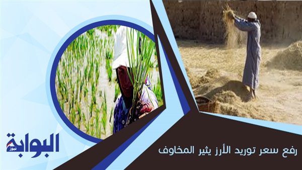 رفع سعر توريد الأرز يثير المخاوف.. التموين: لن يؤثر على أسعار السلعة.. نقيب الزراعين: نقص المياه وتقليل مساحة الزراعة سبب الأزمة (ريبورتاج)