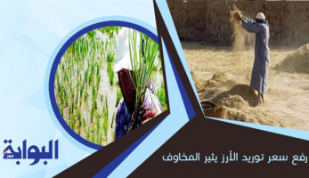 رفع سعر توريد الأرز يثير المخاوف.. التموين: لن يؤثر على أسعار السلعة.. نقيب الزراعين: نقص المياه وتقليل مساحة الزراعة سبب الأزمة (ريبورتاج)
