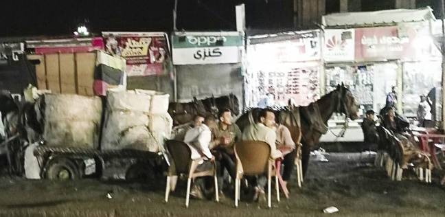 موقف أوتوبيسات.. الصبح للبشر وبالليل لـ«الكارو»: «ينفع كده؟» (فيتشر)