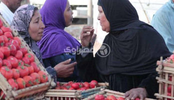 بينها الطماطم والخيار والبصل.. أسعار الخضروات ترتفع قبيل شهر رمضان (ريبورتاج)
