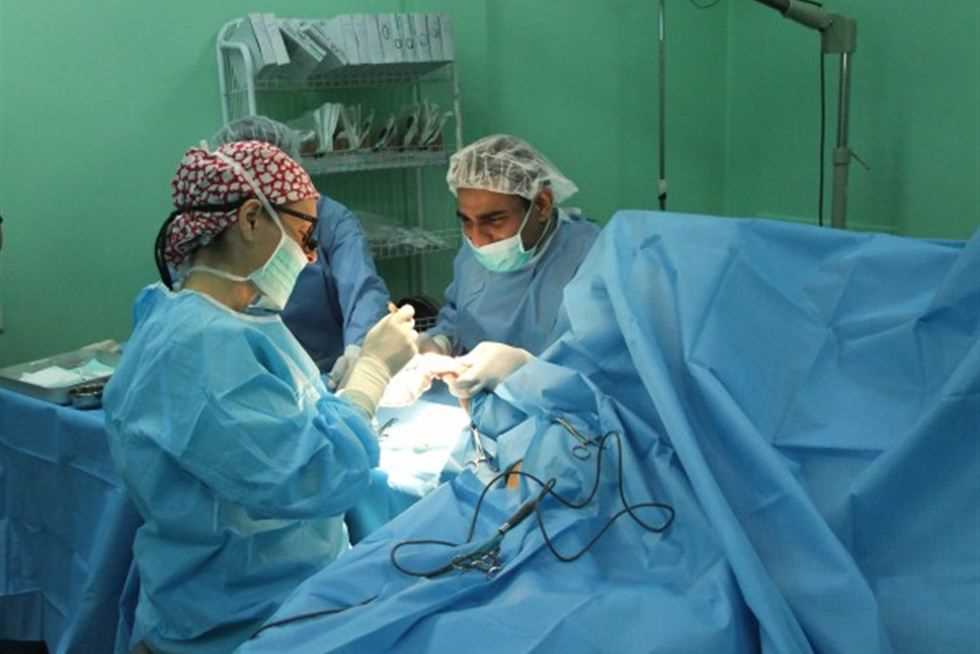 أعضاء بشرية مقابل 10 آلاف جنيه.. جزار ونجار ضمن تشكيل عصابي يقوده طبيب بالمعادي | المصري اليوم (خبر)