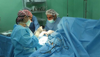 أعضاء بشرية مقابل 10 آلاف جنيه.. جزار ونجار ضمن تشكيل عصابي يقوده طبيب بالمعادي | المصري اليوم (خبر)
