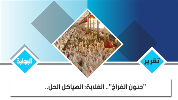 "جنون الفراخ".. الغلابة: الهياكل الحل.. "الثروة الداجنة": الأسعار عرض وطلب.. الكيلو بـ33 جنيهًا.. المستهلكون يتهمون "التجار بالجشع".. مواطنون ضد الغلاء لـ"الشعب": قاطعوا.. والموزعون الحلقة الأضعف (ريبورتاج)