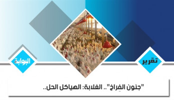 "جنون الفراخ".. الغلابة: الهياكل الحل.. "الثروة الداجنة": الأسعار عرض وطلب.. الكيلو بـ33 جنيهًا.. المستهلكون يتهمون "التجار بالجشع".. مواطنون ضد الغلاء لـ"الشعب": قاطعوا.. والموزعون الحلقة الأضعف (ريبورتاج)