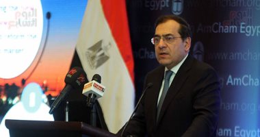 بالأرقام.. الدولة تتحمل 103.798 مليار جنيه نتيجة استيراد منتجات النفط (خبر)