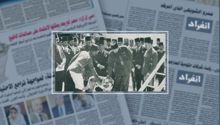 حكايات الأمن والقضاء.. قصة أول "كلب بوليسى" ساهم فى حل 117 قضية (فيتشر)