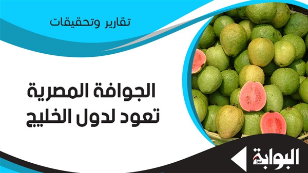 الجوافة المصرية تعود لدول الخليج.. البحرين تعلن قائمة الاشتراطات.. ووزارة الزراعة توقع بروتوكول "صمام الأمان".. وخبراء: الإجراءات تقضي على الهواة والمضاربين وتحقق الانضباط للمحاصيل