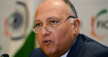 الخارجية تعرض كافة المعلومات والبيانات للمشجع المصرى فى مونديال روسيا - اليوم السابع