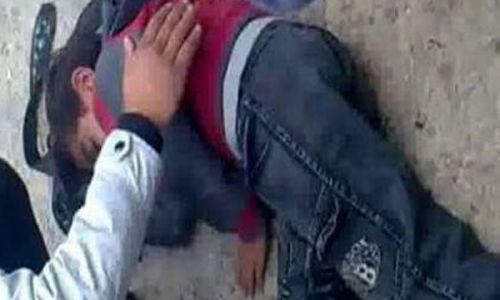 ضبط سائق نقل دهس طفلًا أثناء عبور الطريق وفر هاربًا بالدقهلية