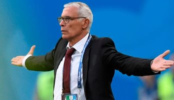 اتحاد الكرة يفاضل بين جريس وتروسيه ولوروا لتدريب المنتخب خلفا لكوبر - اليوم السابع
