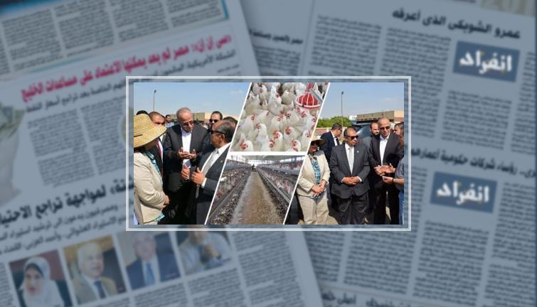 صور .. حكاية "بورصة الفراخ" وكيف تدار عبر المحمول وحقيقة توقفها عن العمل.. التجار: متوقفة منذ 9 سنوات.. و"الزراعة": السوق يدار بعشوائية.. و"اتحاد الدواجن": ليس عليها رقابة والضرر على المربى والمستهلك