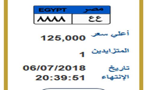 بالصور.. لوحة معدنية "ع ع 8888" بـ125 ألف جنيه